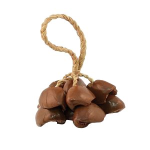 Sonajero cáscara nueces secas