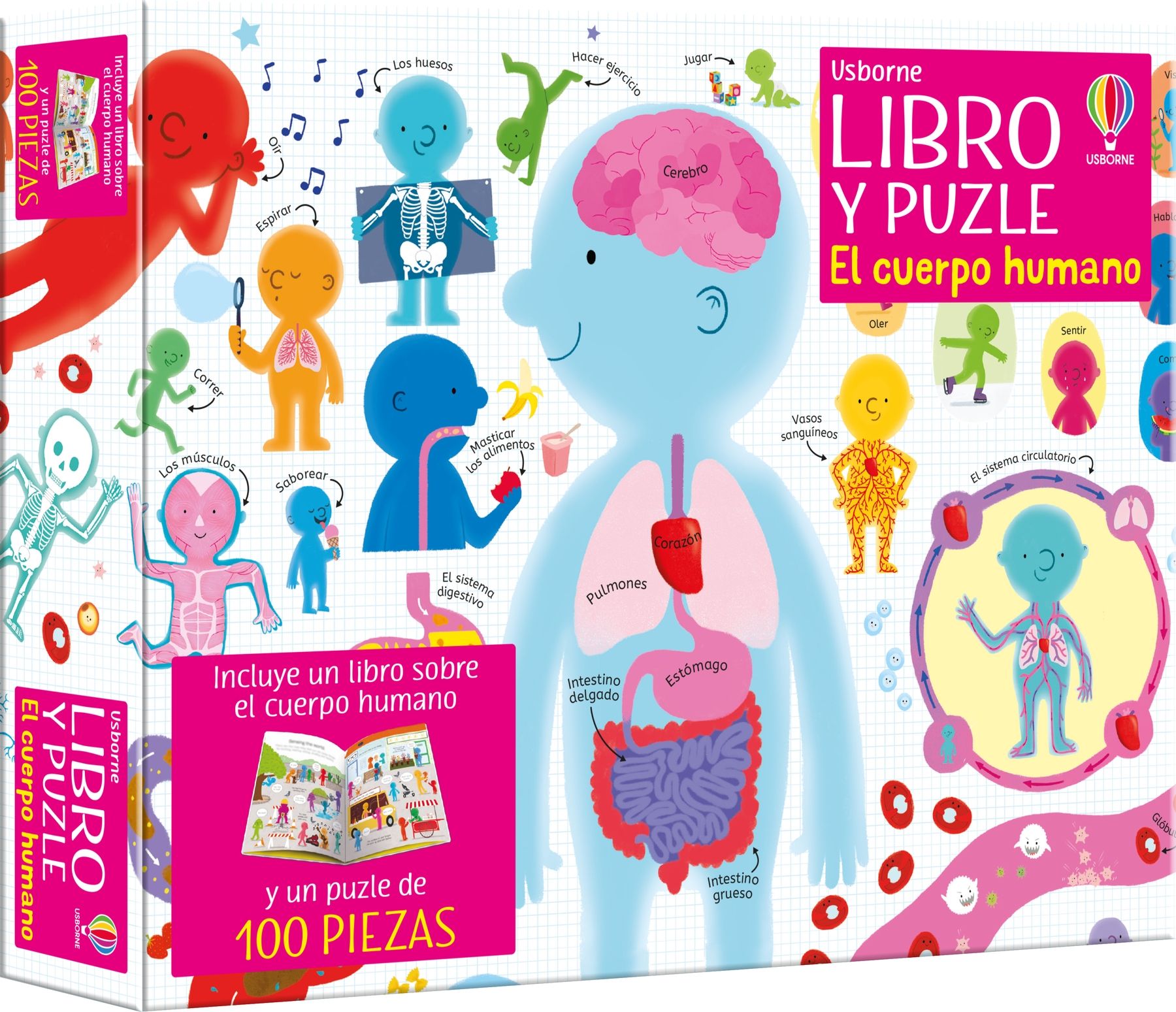 Libro y Puzzle: El cuerpo humano