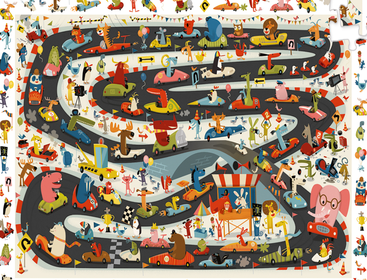 P. Observación Rally de coches