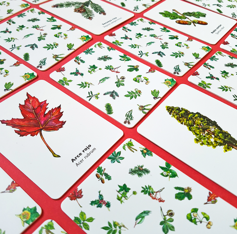 Captura de pantalla 2023-12-30 a las 0.43.46