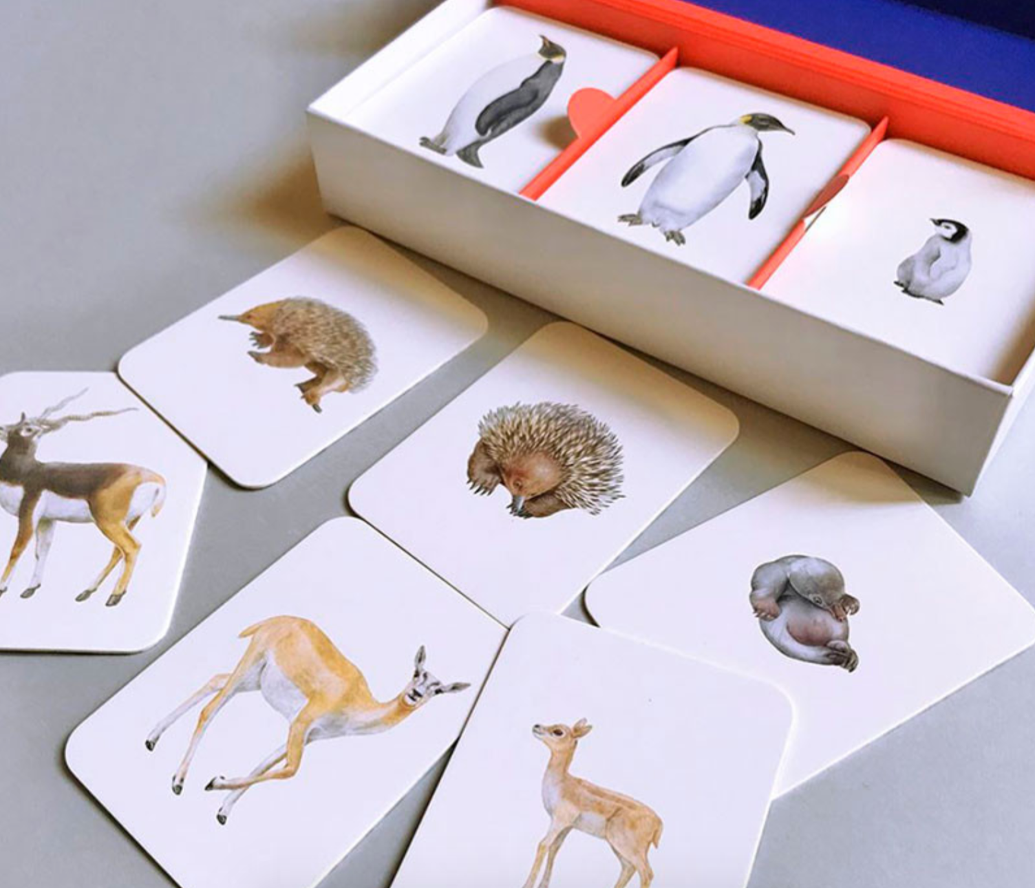 Captura de pantalla 2024-05-06 a las 22.15.10