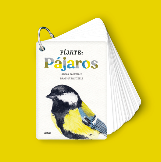 Fíjate: Pájaros