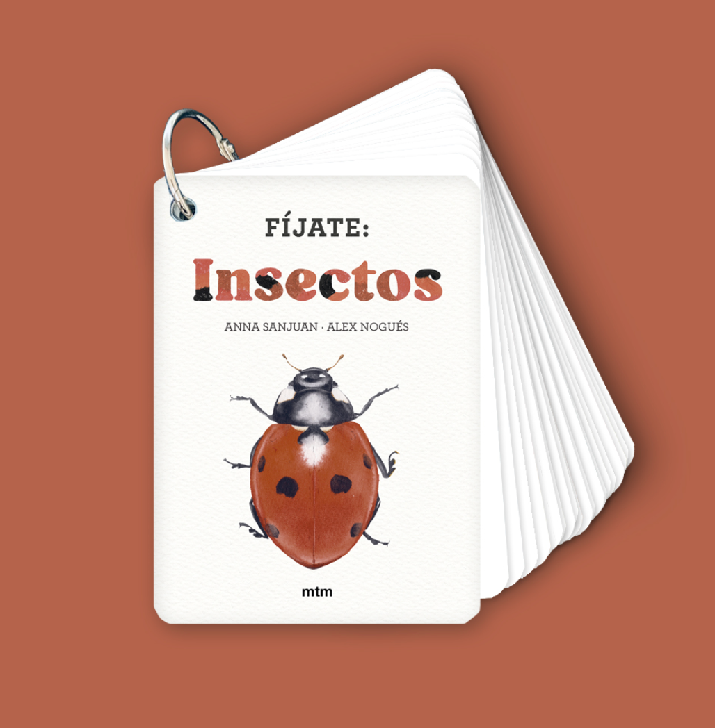 Fíjate Nubes: Insectos