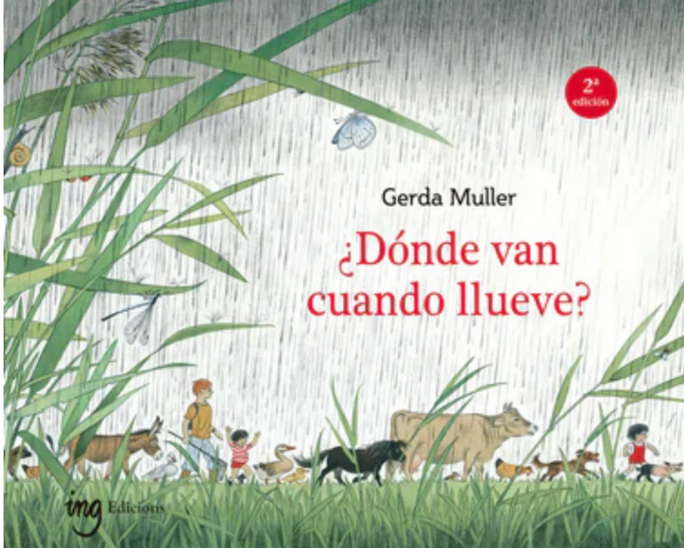 ¿Dónde van cuando llueve?