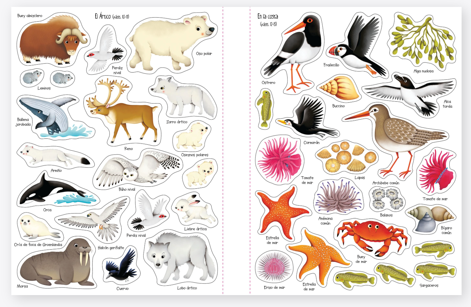 Mi primer libro de pegatinas - El mundo natural