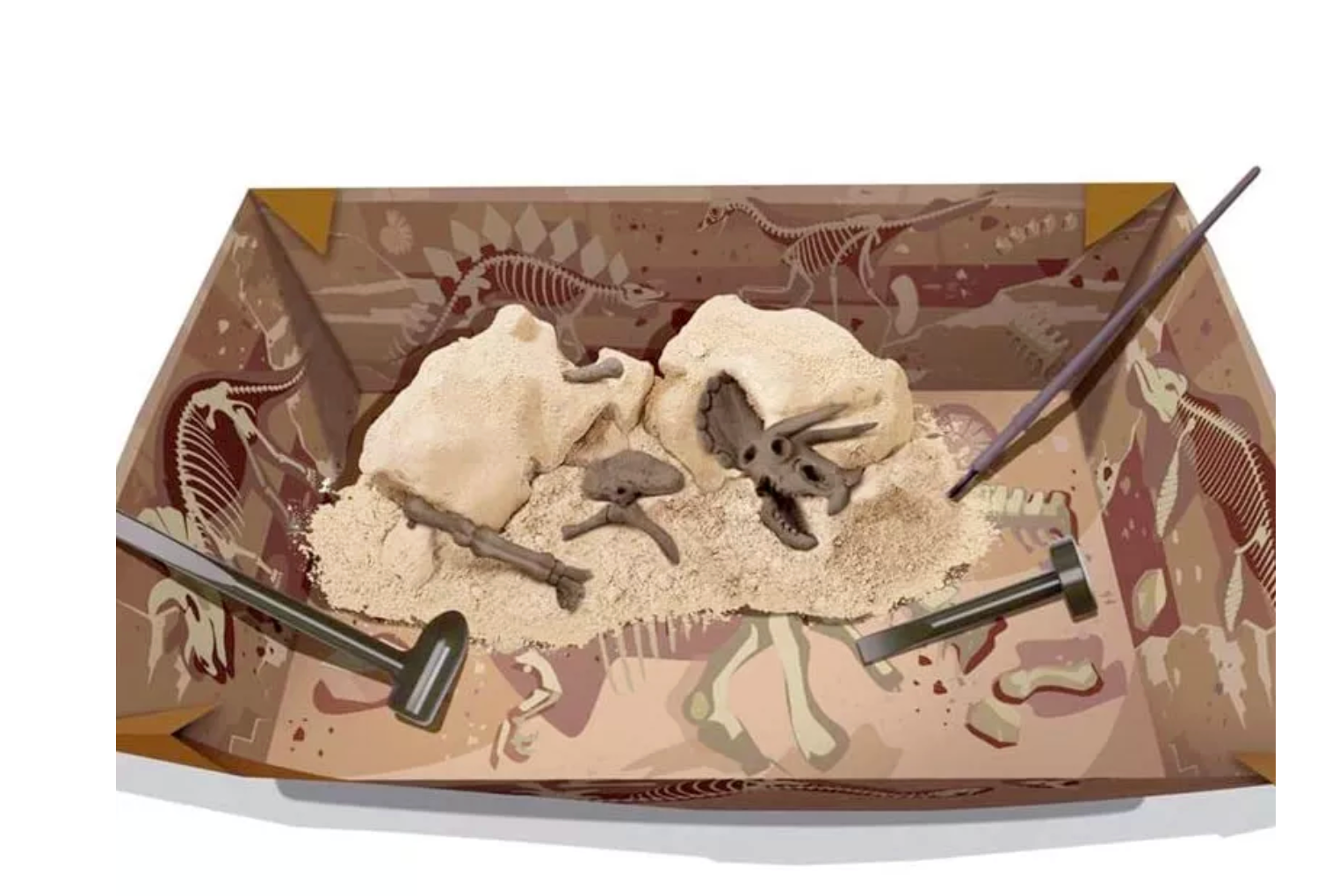 Kit de Paleontología Triceratops - 4M