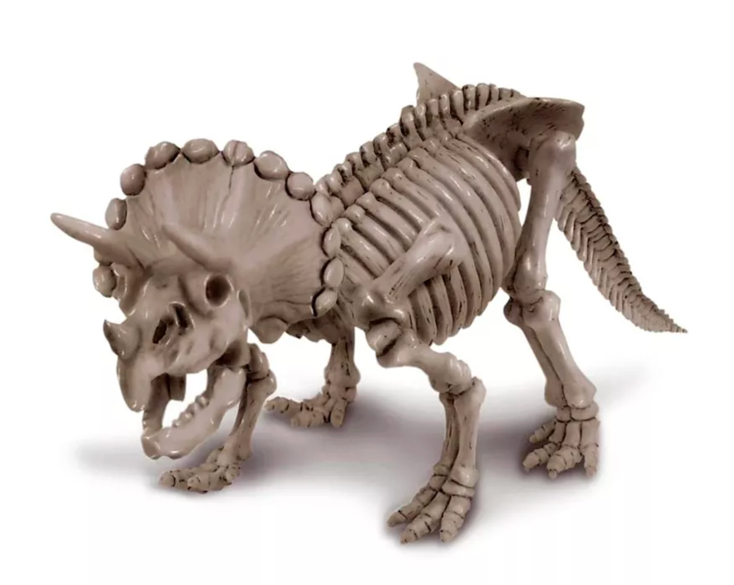 Kit de Paleontología Triceratops - 4M
