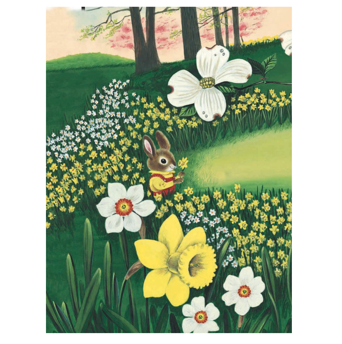 Soy un conejo. I am a bunny