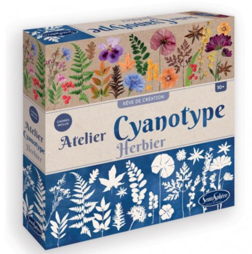 Cianotipia herbario - Sentosphere