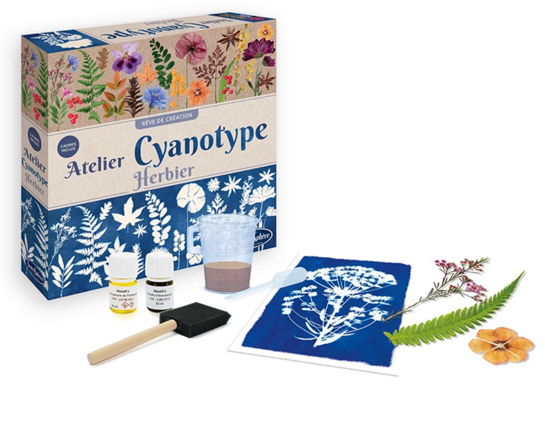 Cianotipia herbario - Sentosphere