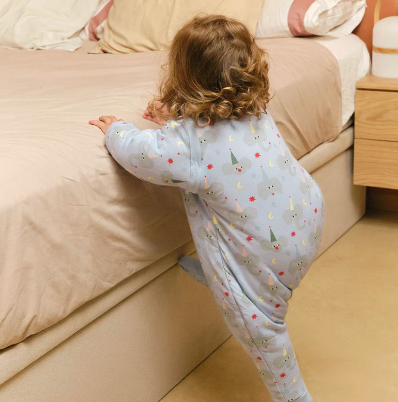 Pijama Animal party TOG 2.5 - Molis&Co