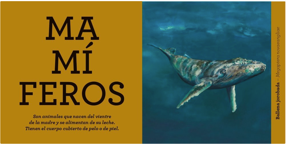 Animales - Descubre las criaturas de la naturaleza (Primeras palabras)