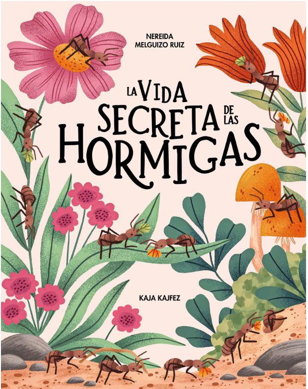 La vida secreta de las hormigas