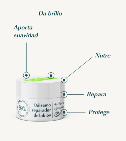 Bálsamo Labial Reparador con Aguacate - Green Cornerss