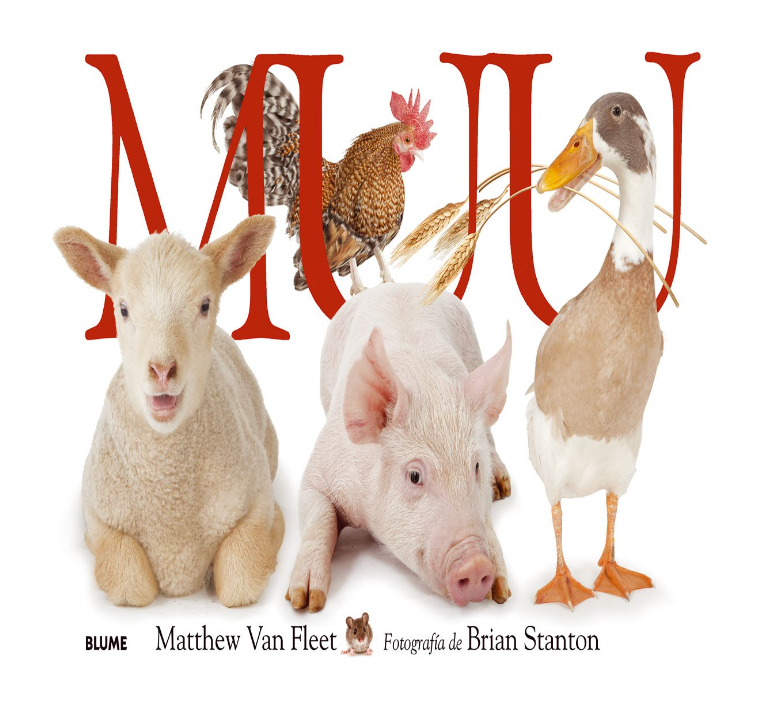 Muu