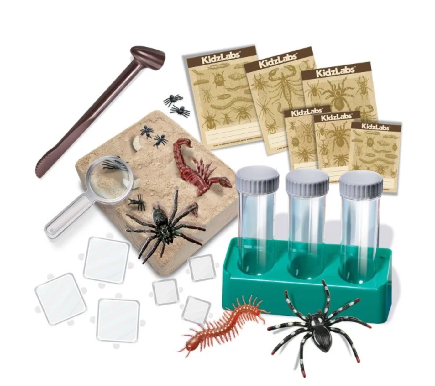 Laboratorio de Excavación: Bichos Luminosos - KidzLabs