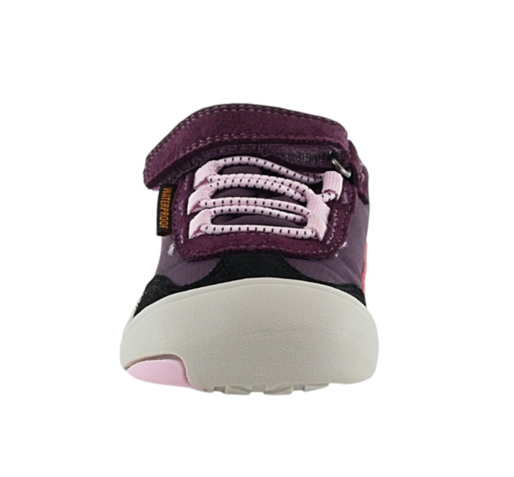 Deportiva Apolo Blantitos Berenjena