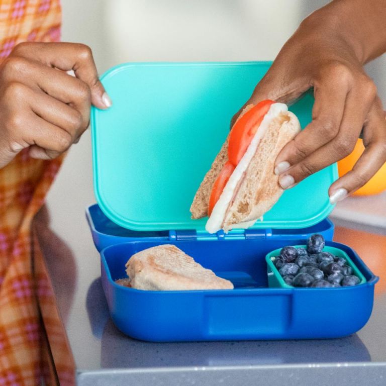 Fiambrera BENTO pequeña sandwich- azul3