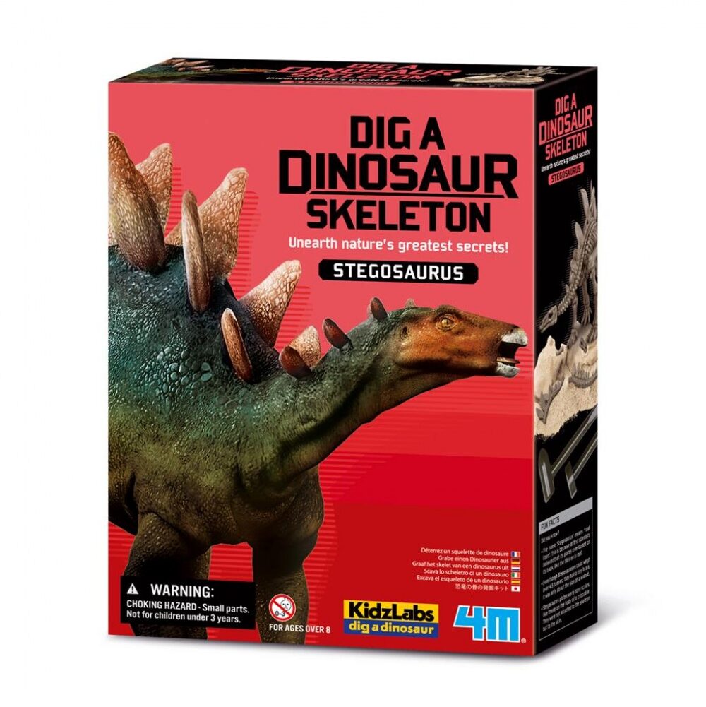 Kit de Paleontología Stegosaurus - 4M