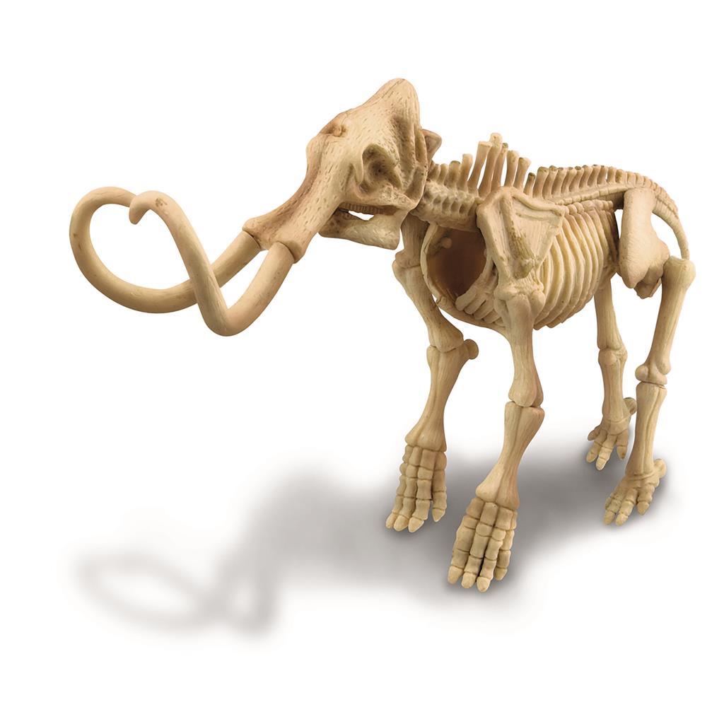 Kit de Paleontología Mamut - 4M