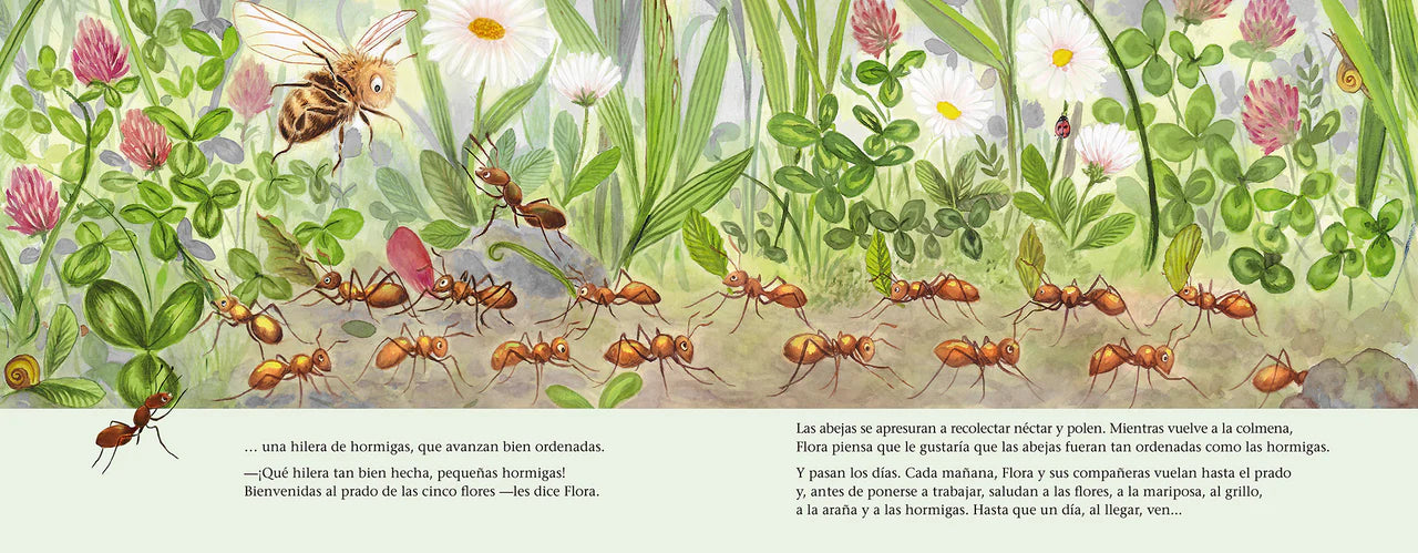 La abeja Flora y el prado de las cinco flores