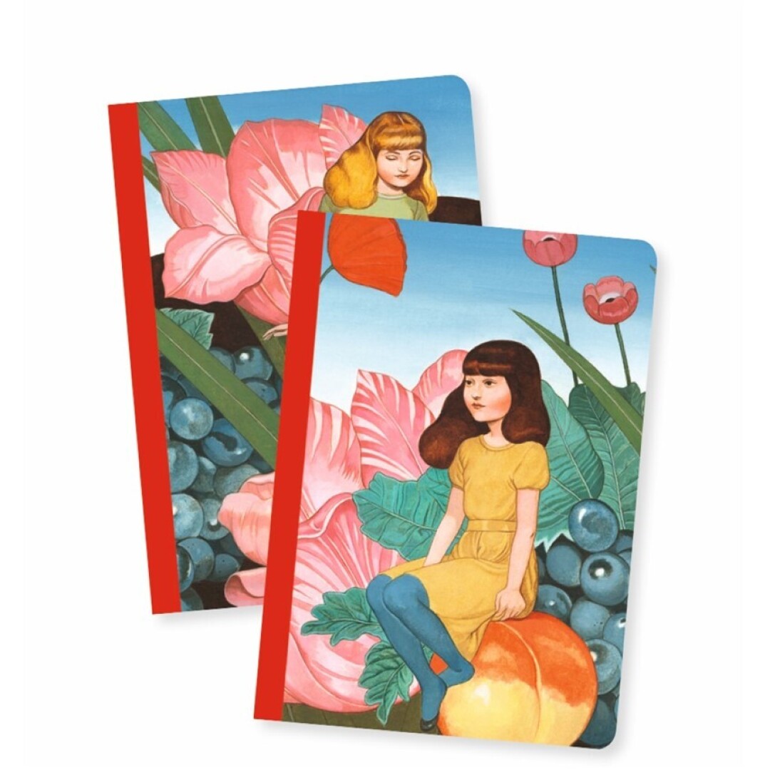 Set 2 libretas Fedora – Djeco