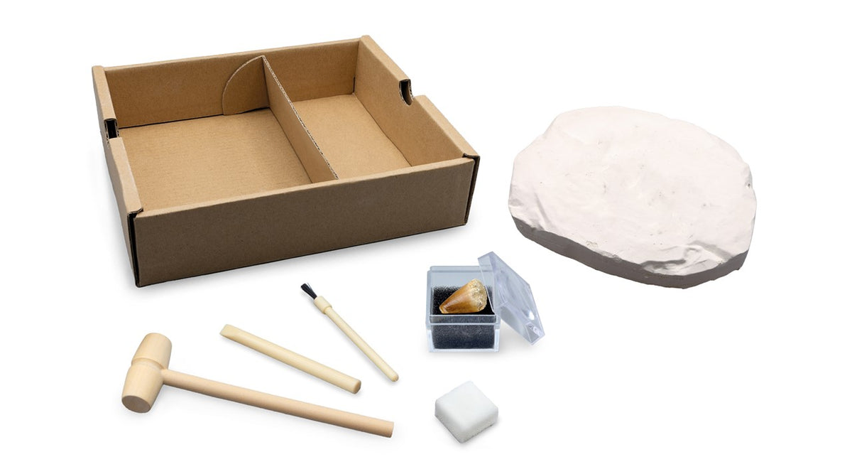 Buki Kit de Paleontología T-Rex