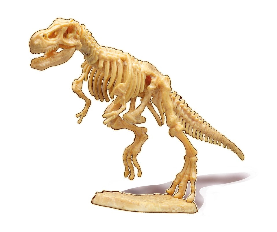 Buki Kit de Paleontología T-Rex
