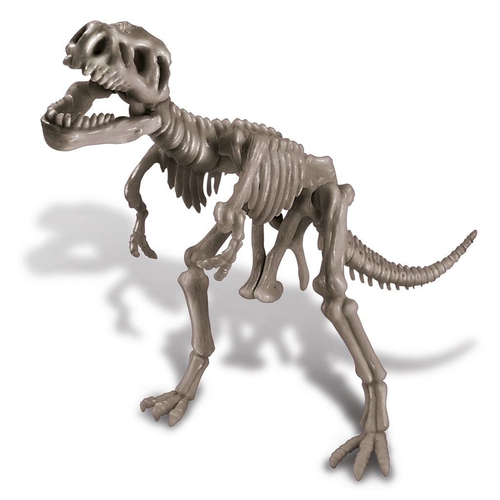 Kit de Paleontología Tiranosaurio Rex - 4M