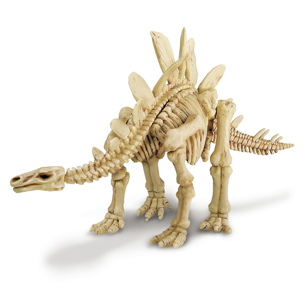 Kit de Paleontología Stegosaurus - 4M