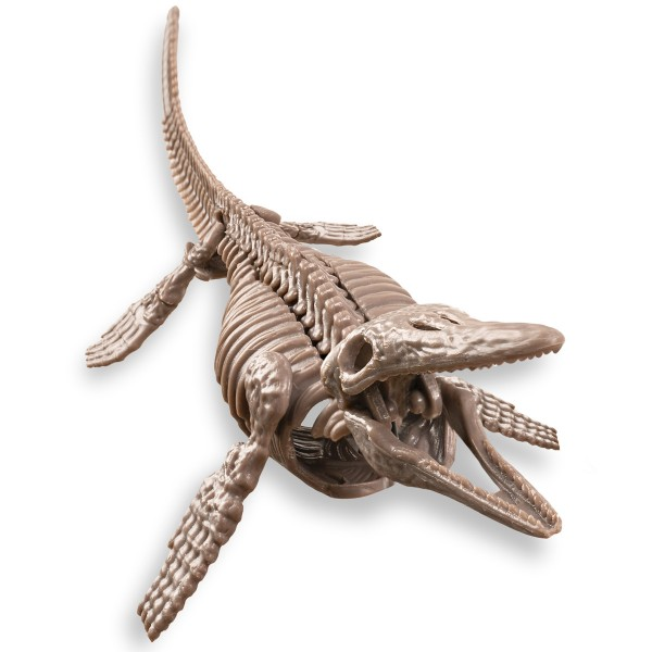 Kit de Paleontología Mosasaurus - 4M