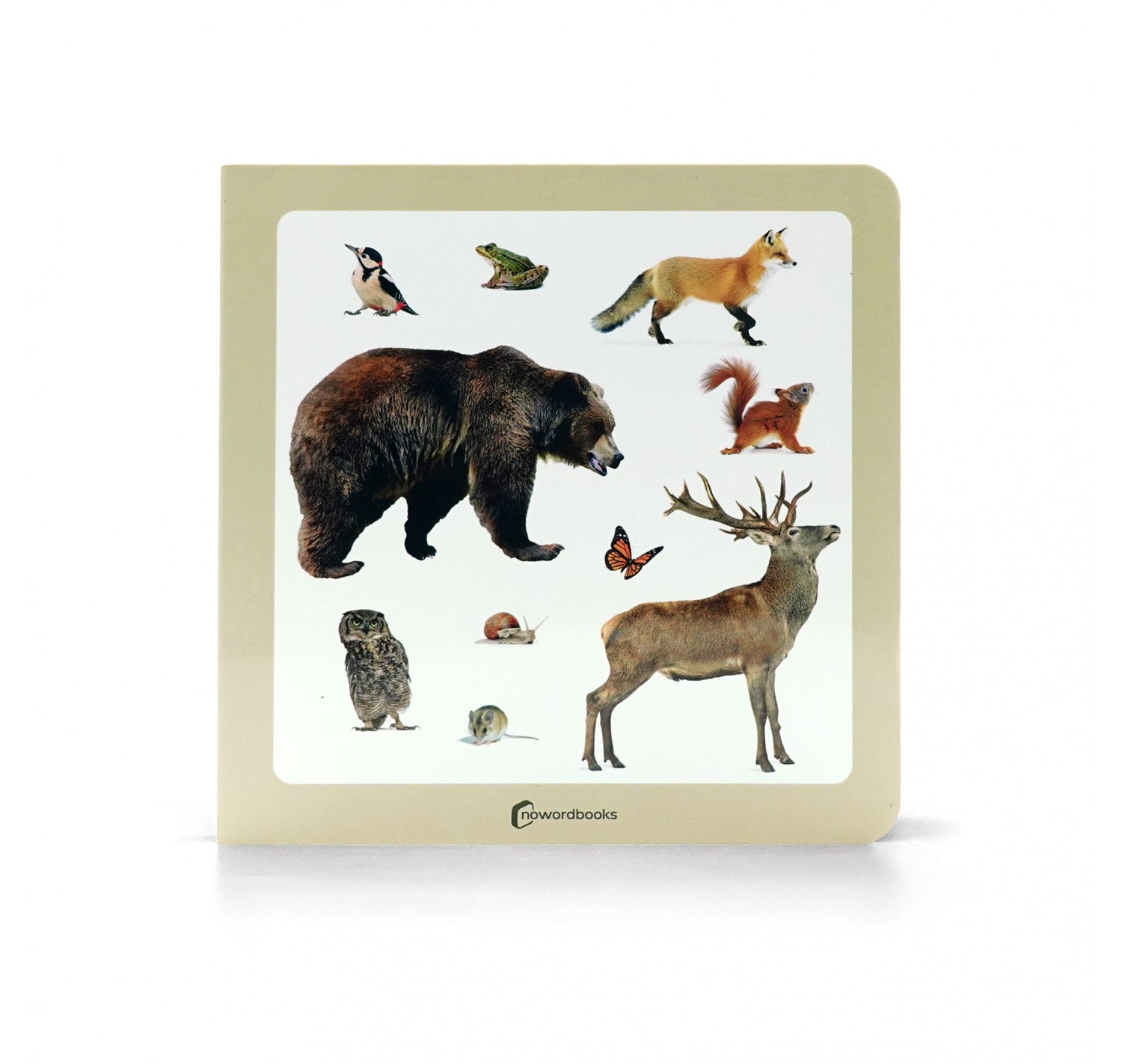 Animales del Bosque 2 - Nowordbooks