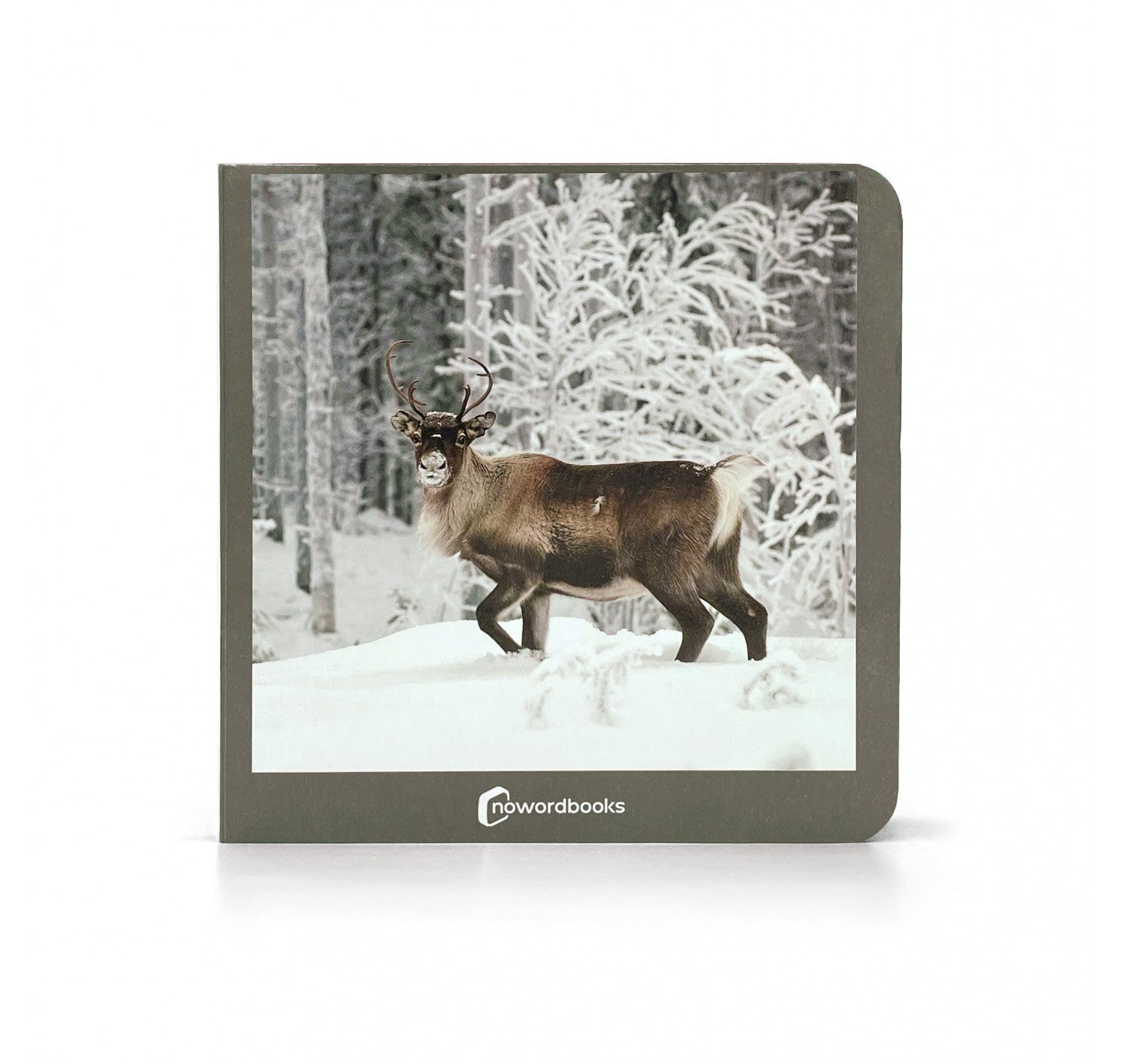 Animales Polares - Nowordbooks