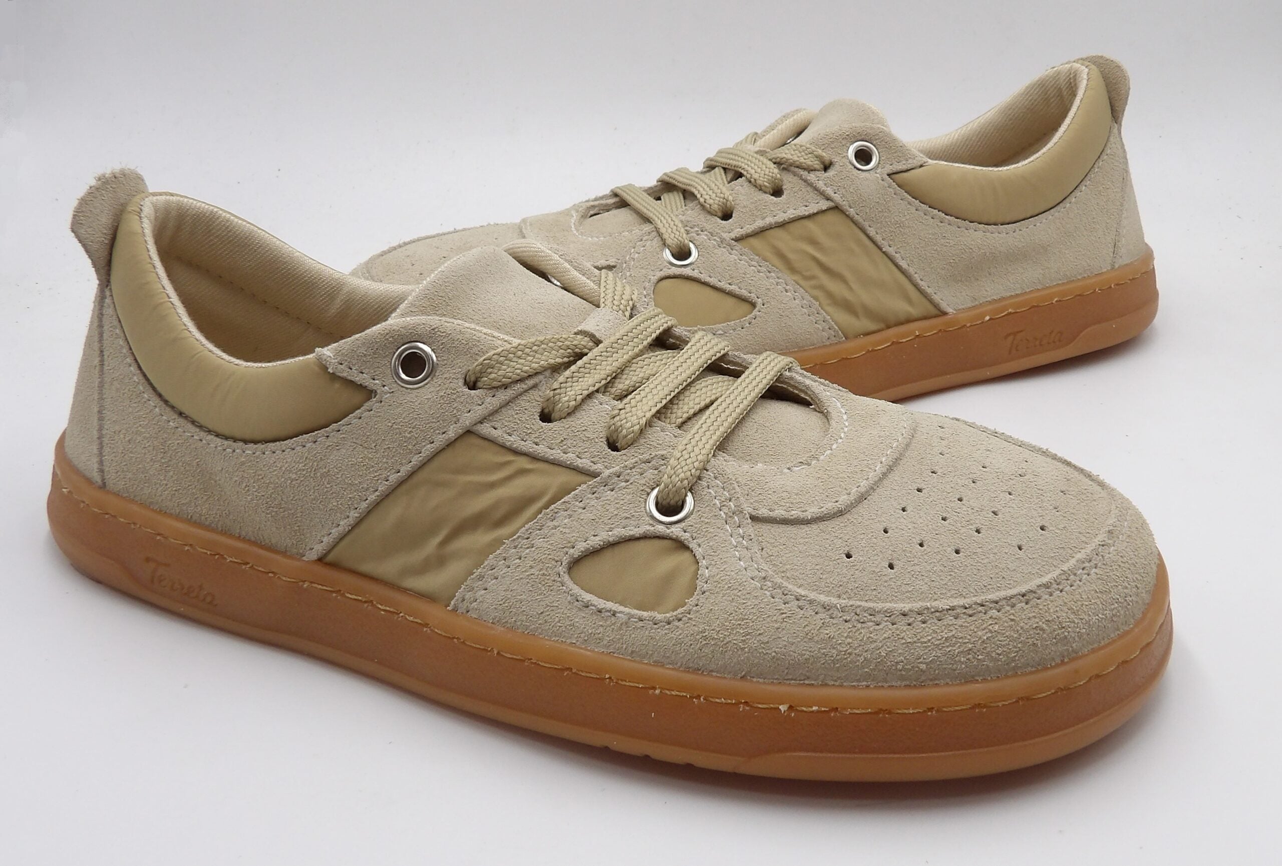 Deportiva Augusta Beig - Terreta