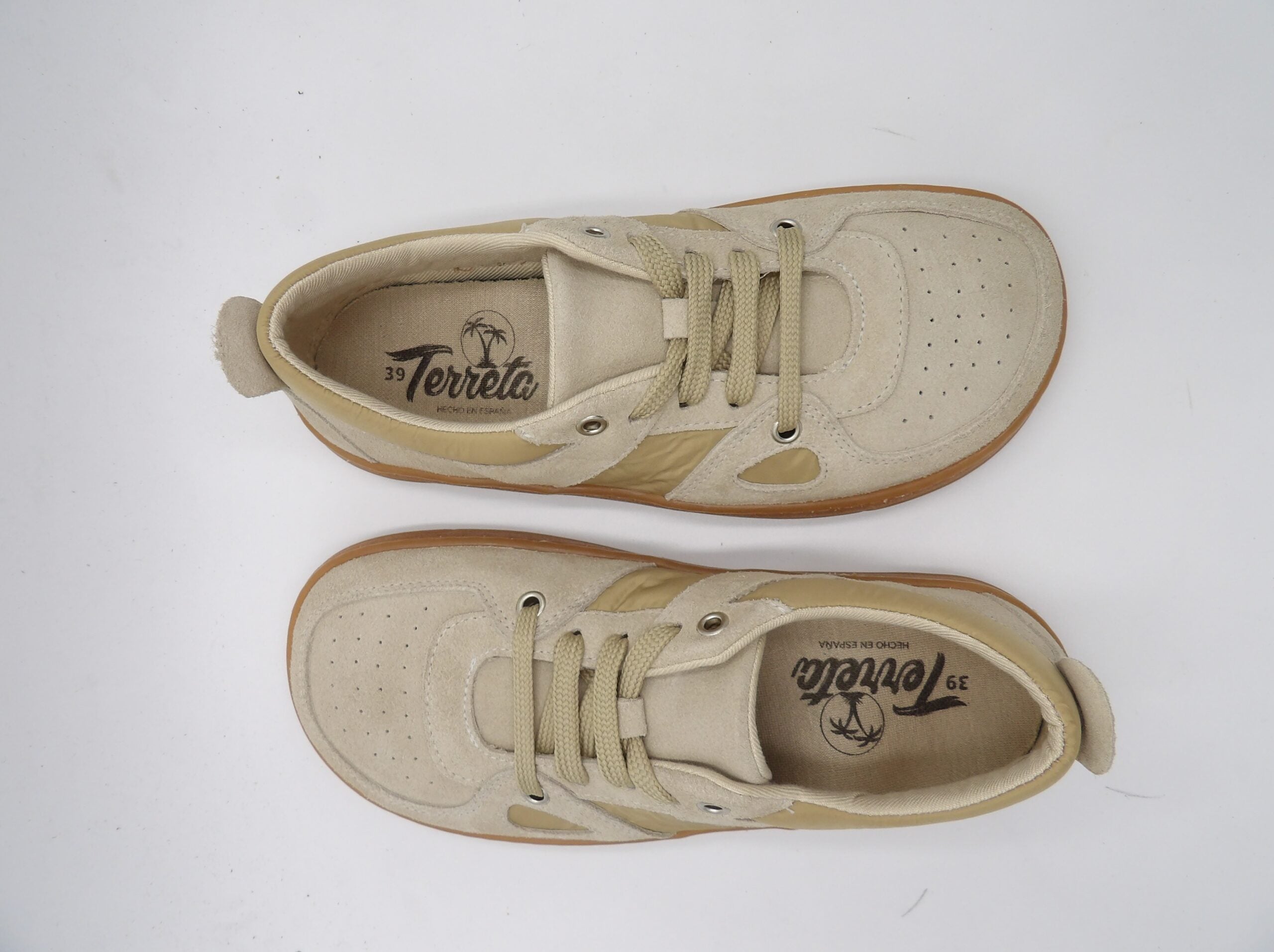 Deportiva Augusta Beig - Terreta