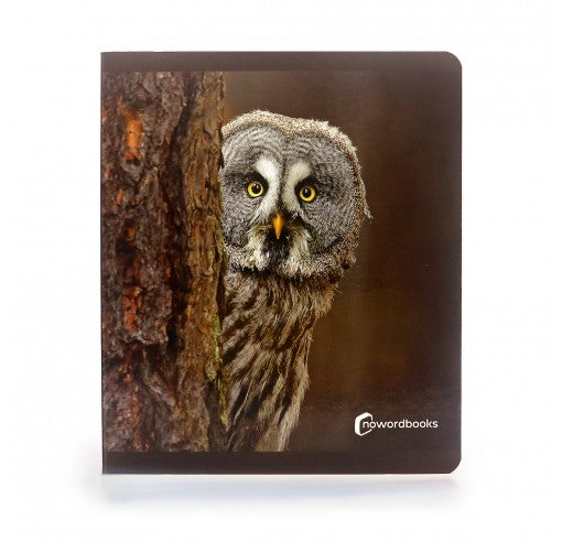 Animales del Bosque. Gran formato - Nowordbooks