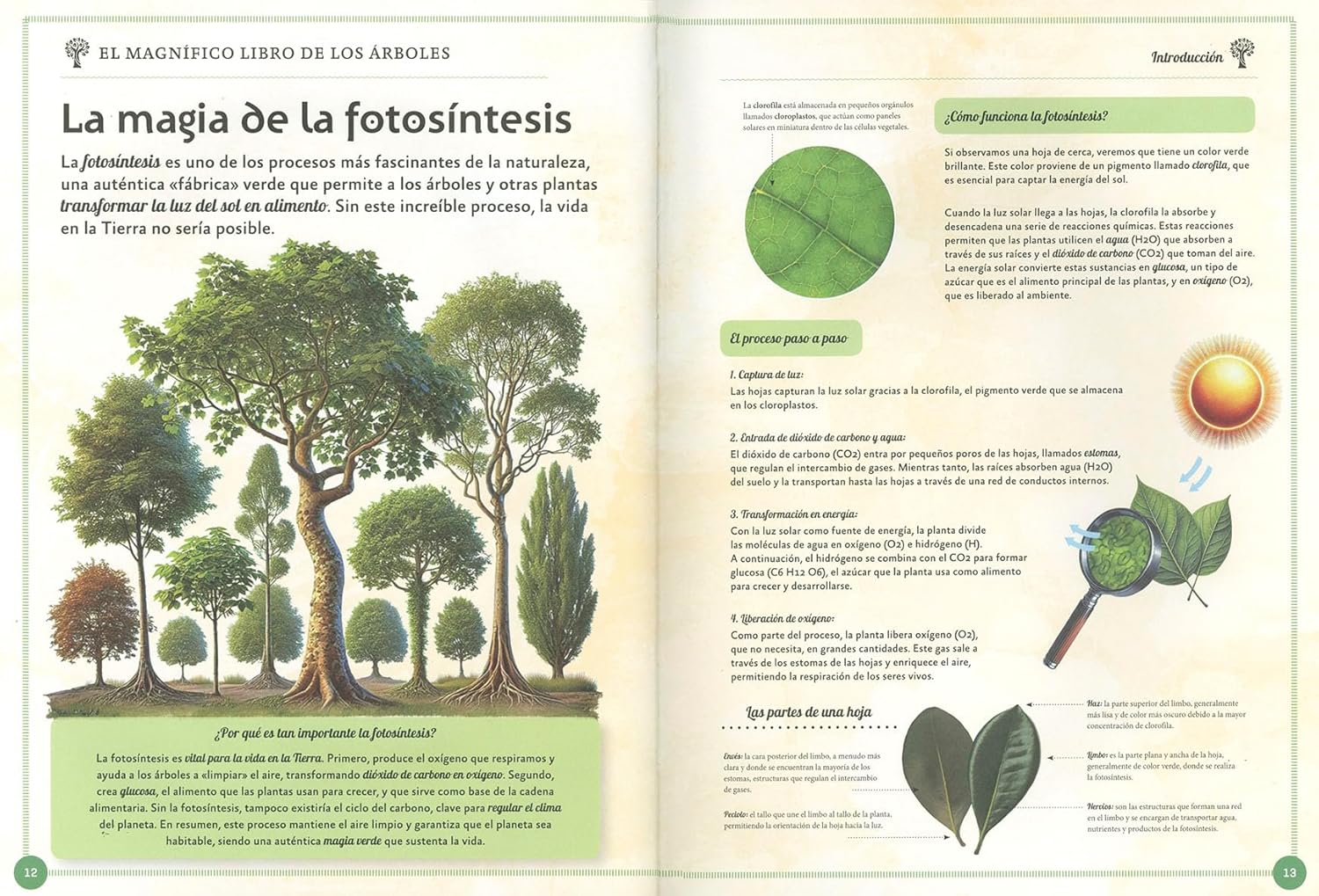 El magnífico libro de los árboles