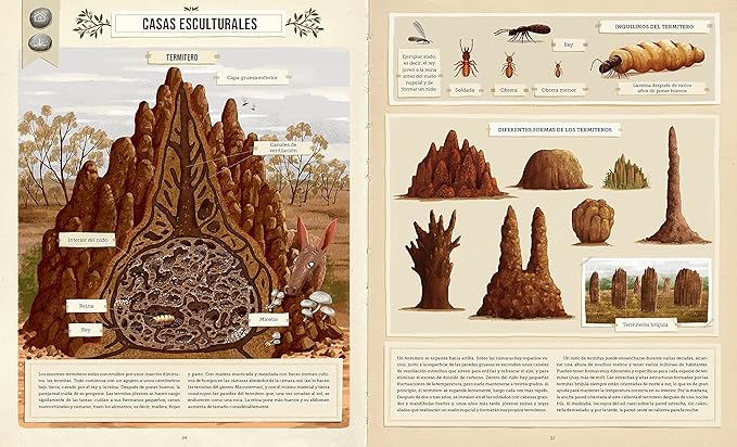 Construcciones Animales