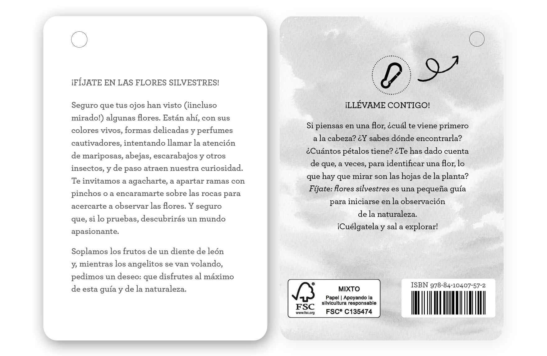 Fíjate: Flores Silvestres