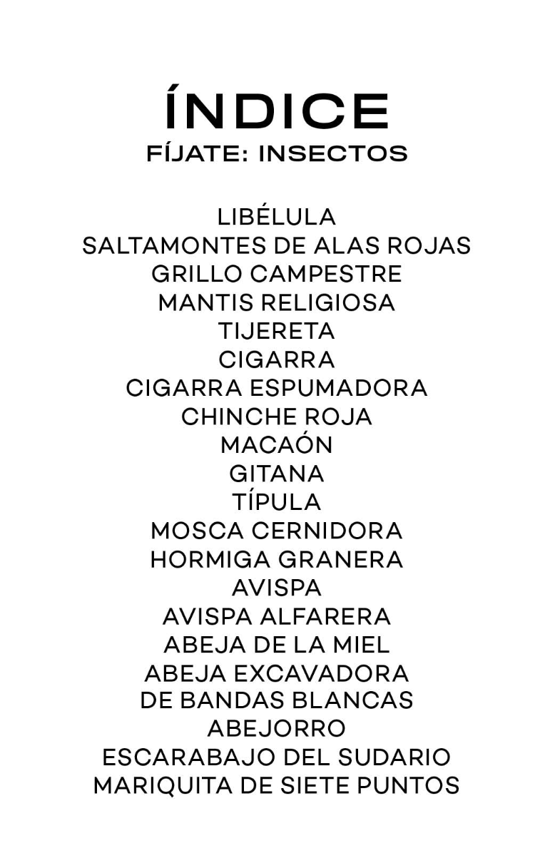 Fíjate Nubes: Insectos
