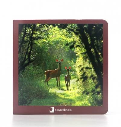Animales del bosque - Nowordbooks