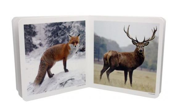 Animales del bosque - Nowordbooks
