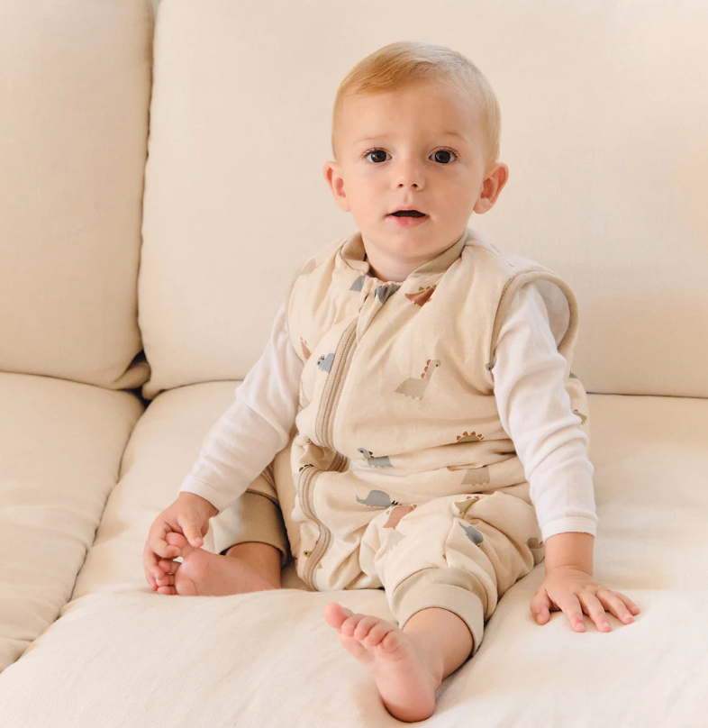 Pijama Dinos TOG 2.5 - Molis&Co