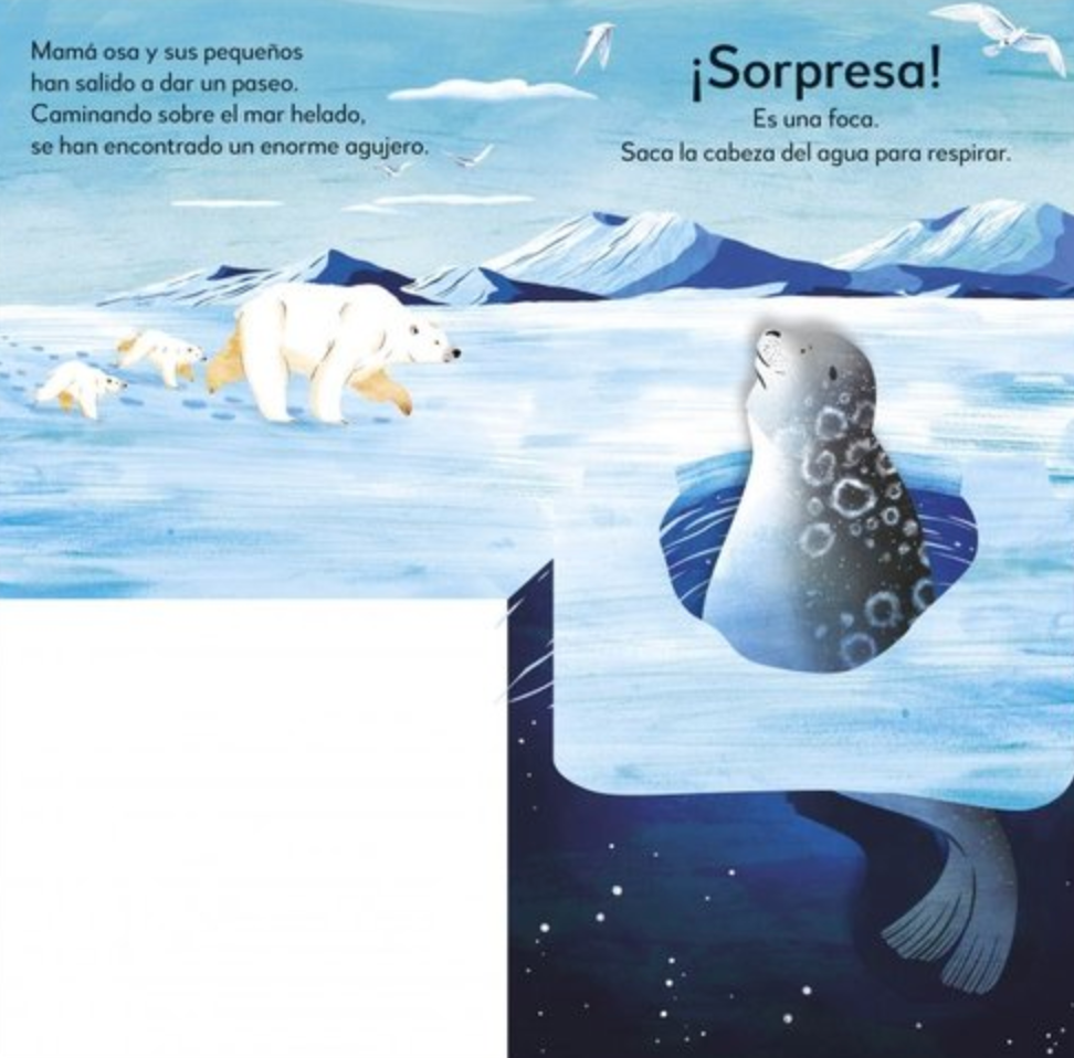 ¡Pop-Up sorpresa! - El polo norte