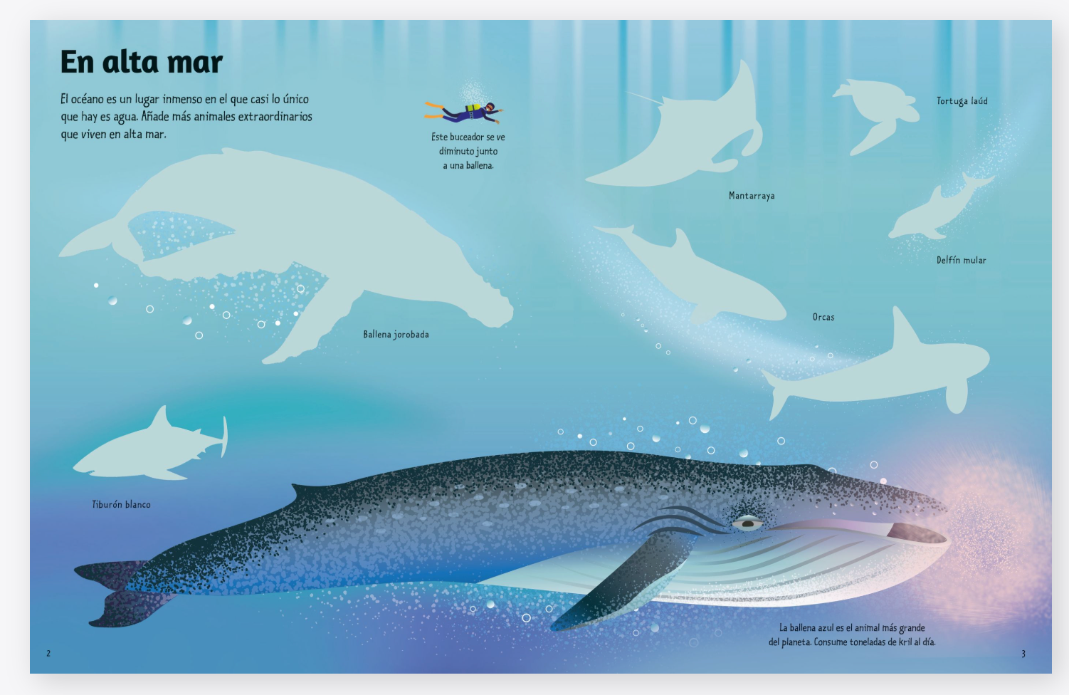 Mi primer libro de pegatinas - El océano
