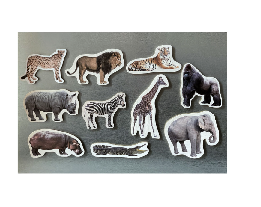 Imanes de bambú Animales de la Salvajes - Nowordbooks
