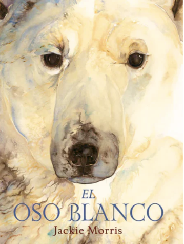 El oso blanco