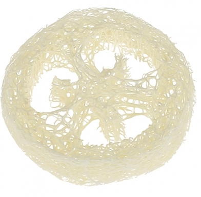 Rodaja esponja de luffa