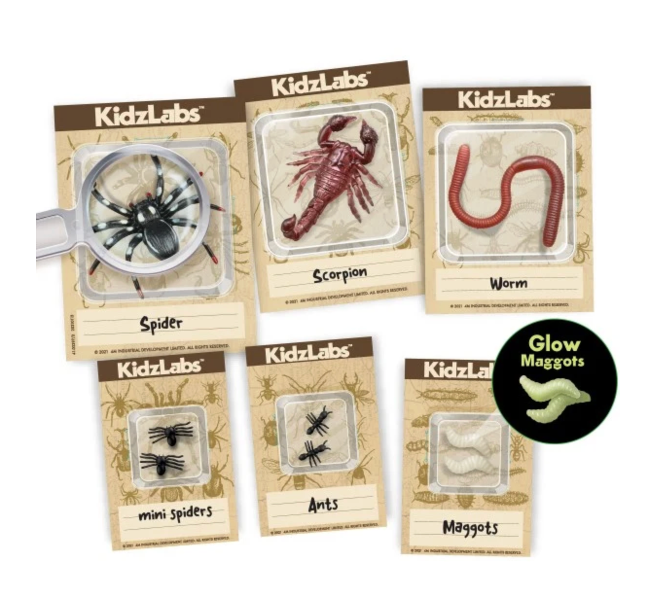 Laboratorio de Excavación: Bichos Luminosos - KidzLabs