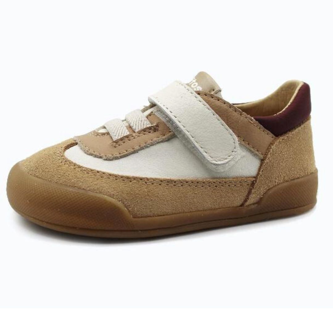 Blanditos Deportiva Modena arena